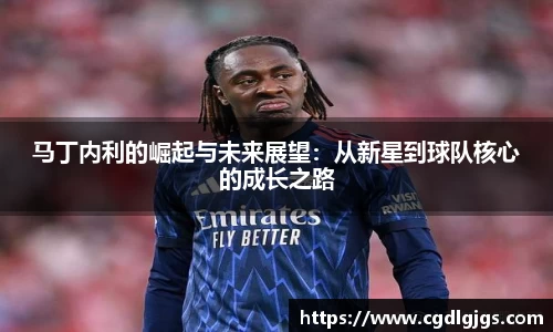 竞技宝马丁内利的崛起与未来展望：从新星到球队核心的成长之路